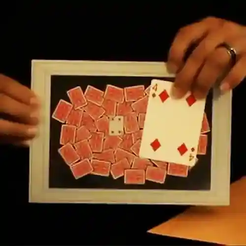 پاسور در قاب عکس (ظاهر شدن پاسور در تابلوی عکس)