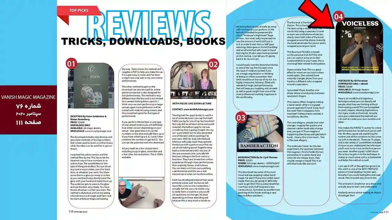 مصاحبه مجله خارجی با استاد علی فروتن